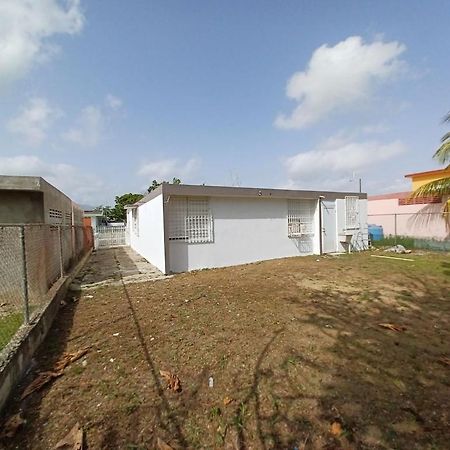 Family House Rain Forest And Beaches Pet Friendly Rio Grande Exterior foto