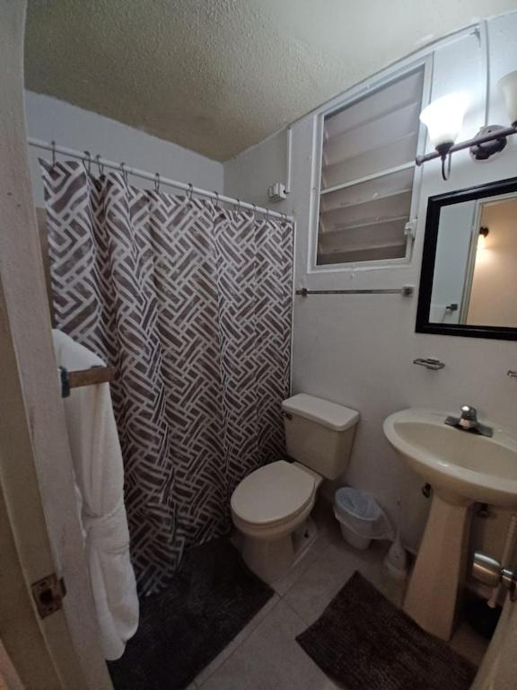 Family House Rain Forest And Beaches Pet Friendly Rio Grande Exterior foto