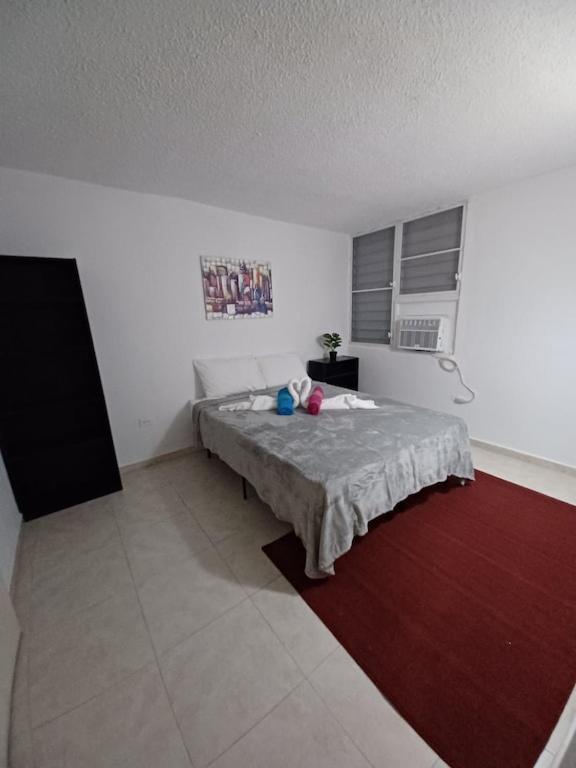 Family House Rain Forest And Beaches Pet Friendly Rio Grande Exterior foto