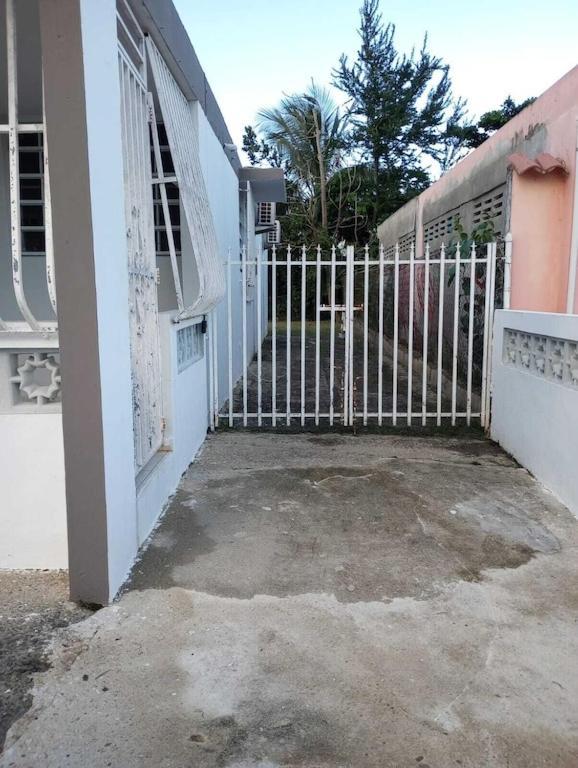 Family House Rain Forest And Beaches Pet Friendly Rio Grande Exterior foto